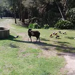 Prana Fazenda