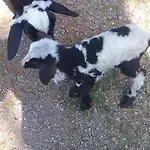 Prana Fazenda