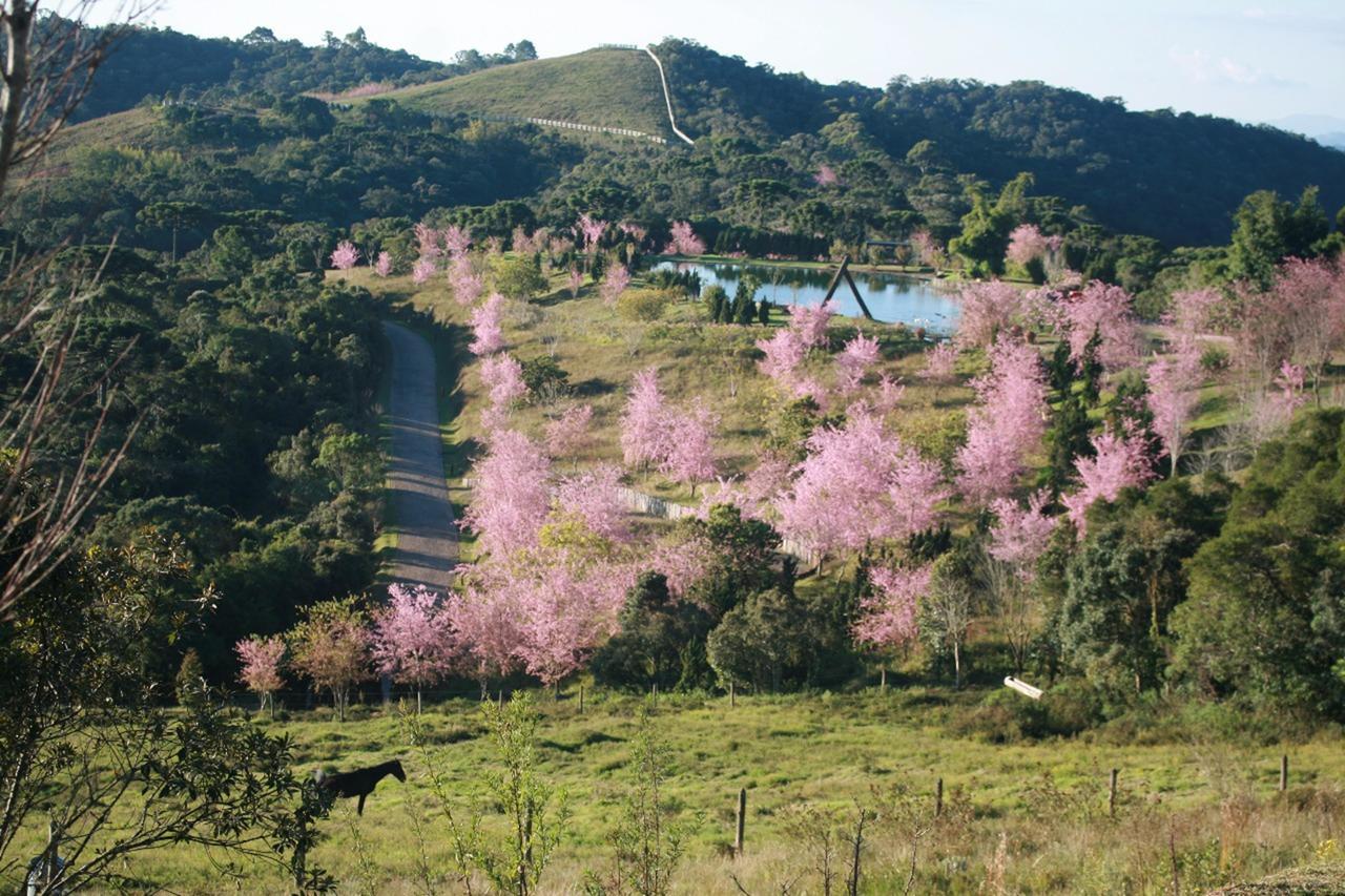 Prana Fazenda Casa de férias