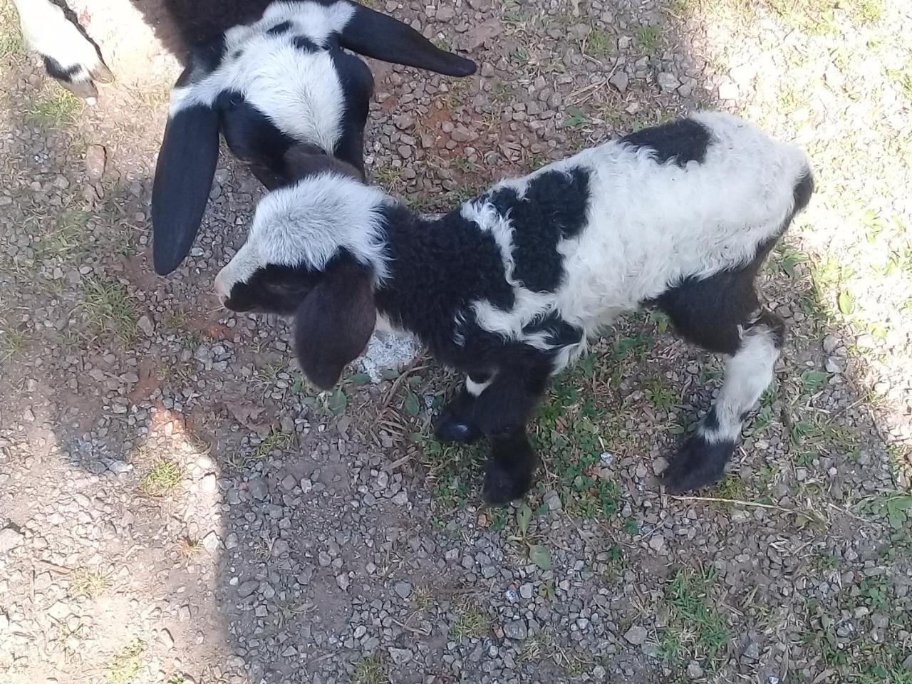 Prana Fazenda *